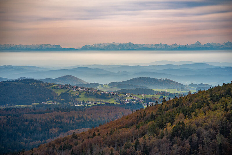 Bayerischer Wald